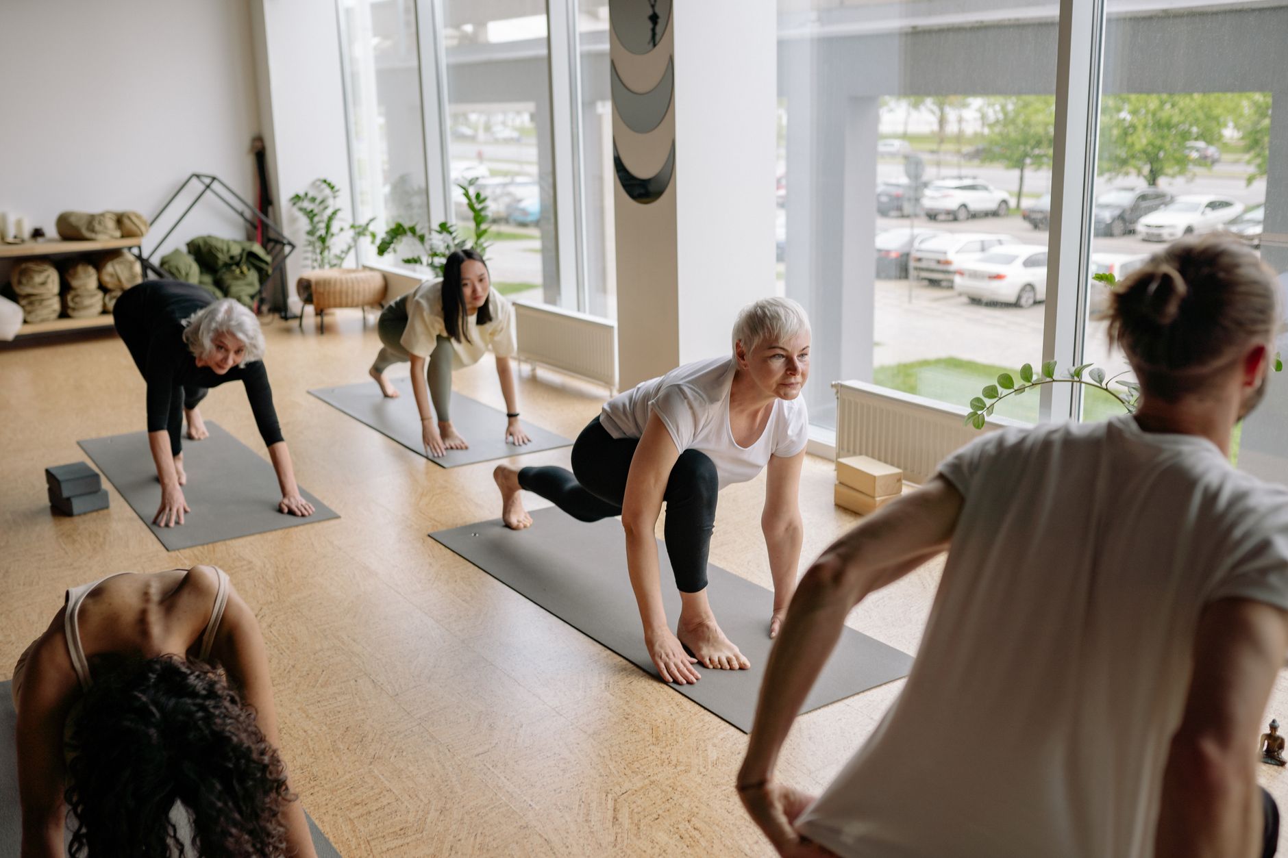 atividades diárias em lar de idosos goiânia fisioterapia em grupo ao ar livre